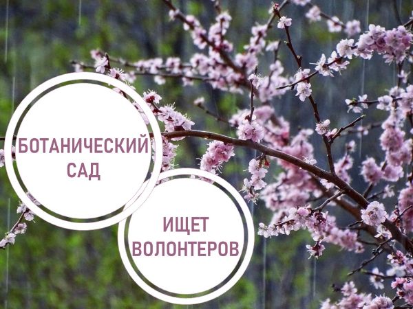 Ботанический сад ищет волонтеров