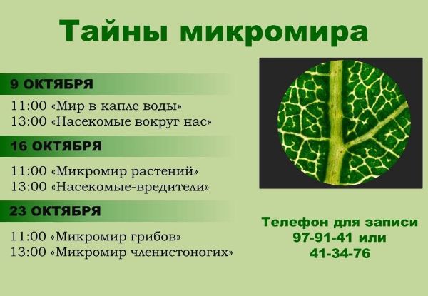 Тайны микромира