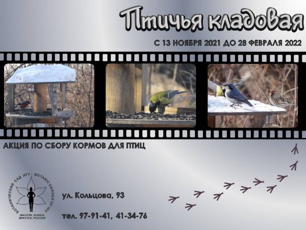 Акция «Птичья кладовая» по сбору кормов для птиц