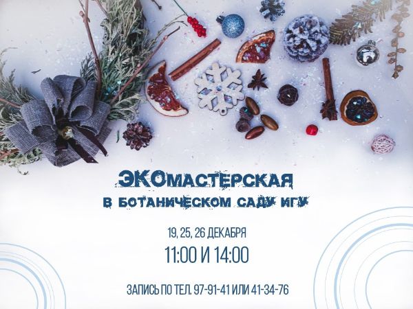 НОВОГОДНЯЯ ЭКОМАСТЕРСКАЯ