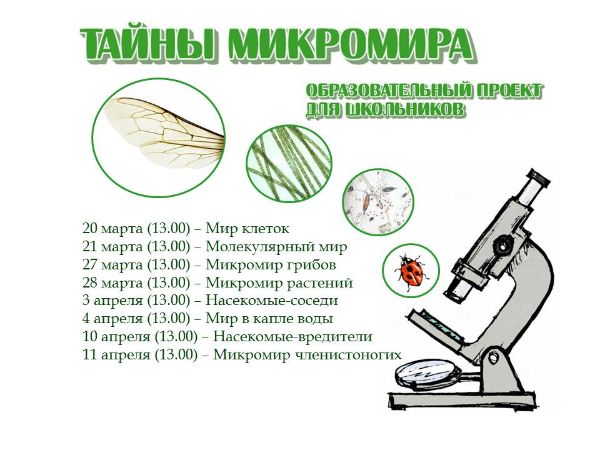 Весенний цикл занятий «Тайны микромира»