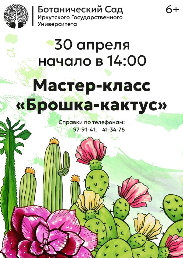 Любителям кактусов.