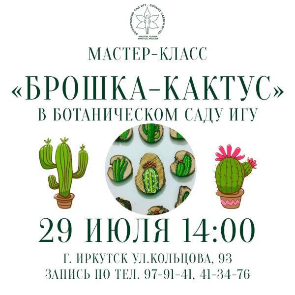Мастер-класс «Брошка-кактус»