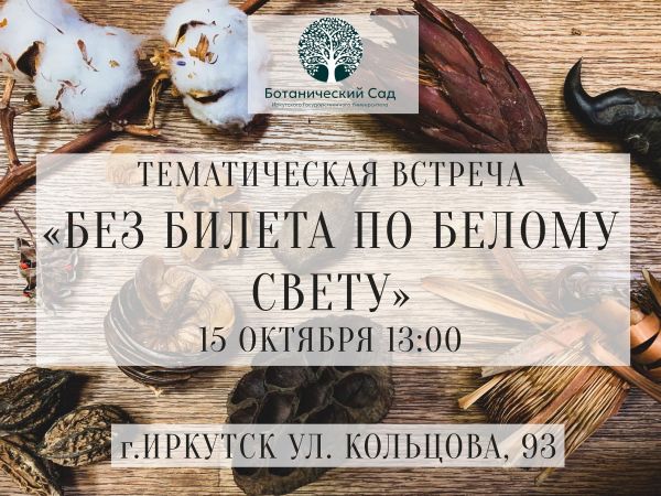 Без билета по белому свету