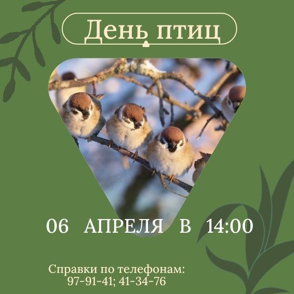 Встреча с птицами Ботанического сада.