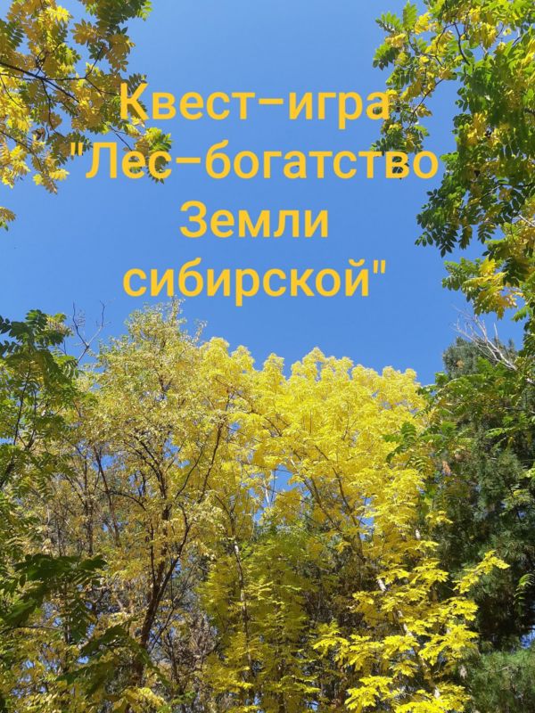 КВЕСТ-ИГРА