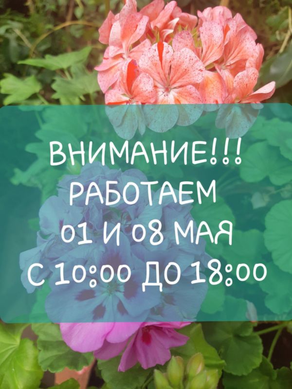 МАЙСКИЕ ПРАЗДНИКИ