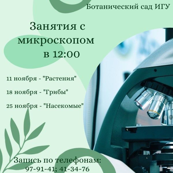 МИР ПОД МИКРОСКОПОМ