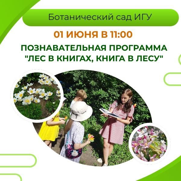 Лес в книгах, книга в лесу.