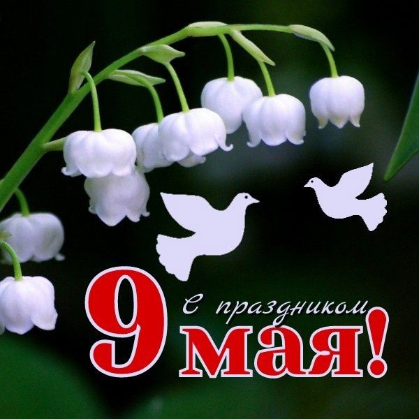9 мая