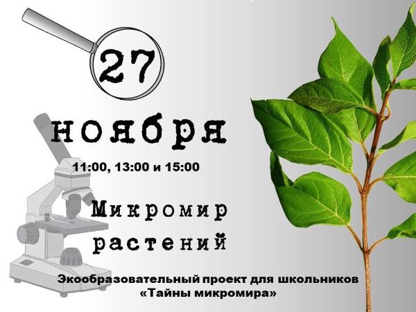ЭКООБРАЗОВАТЕЛЬНЫЙ ПРОЕКТ ДЛЯ ШКОЛЬНИКОВ(И НЕ ТОЛЬКО) "ТАЙНЫ МИКРОМИРА"