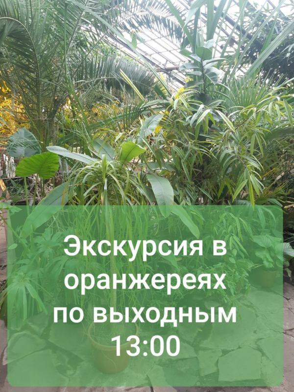 ТРОПИЧЕСКАЯ ЗИМА