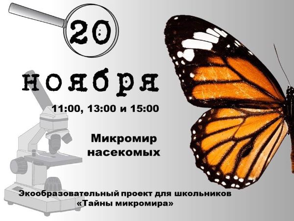Экообразовательный проект для школьников(и не только) "Тайны микромира"