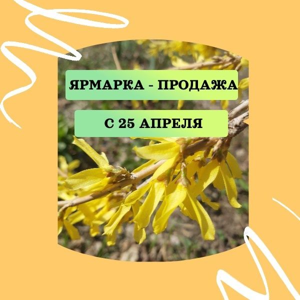 Весенняя ярмарка-продажа саженцев