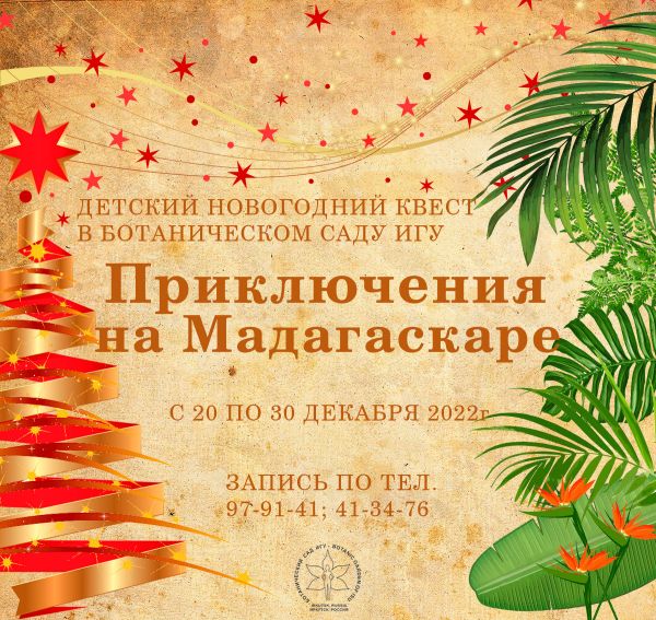 Новогодний квест "Приключения на Мадагаскаре"