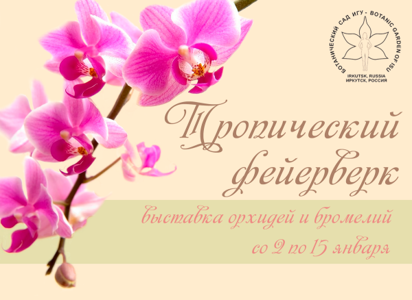 Выставка орхидей и бромелий «Тропический фейерверк»