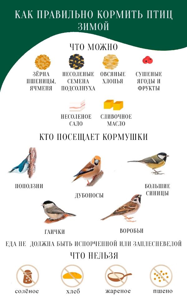Подкормочная площадка