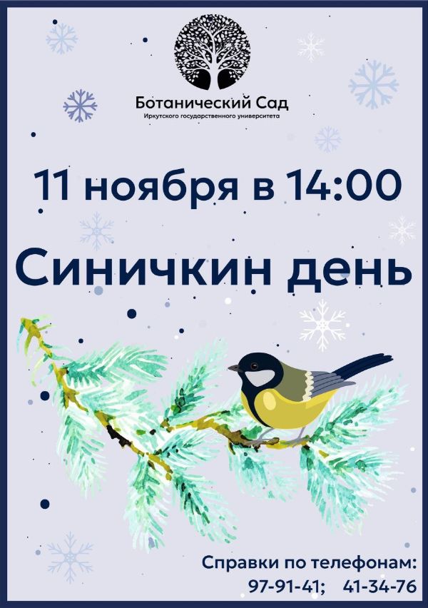 «Синичкин день»