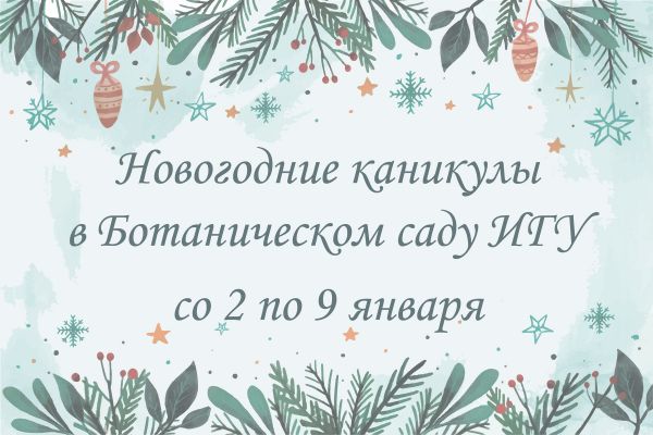 Новогодние каникулы в Ботаническом саду