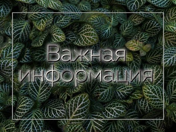 Новые дополнительные правила посещения Ботанического сада ИГУ.