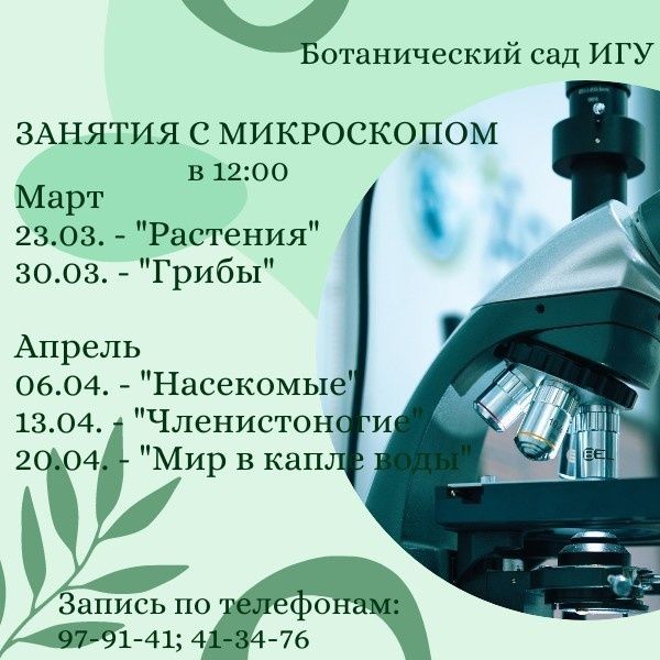 Увлекательный мир под микроскопом.
