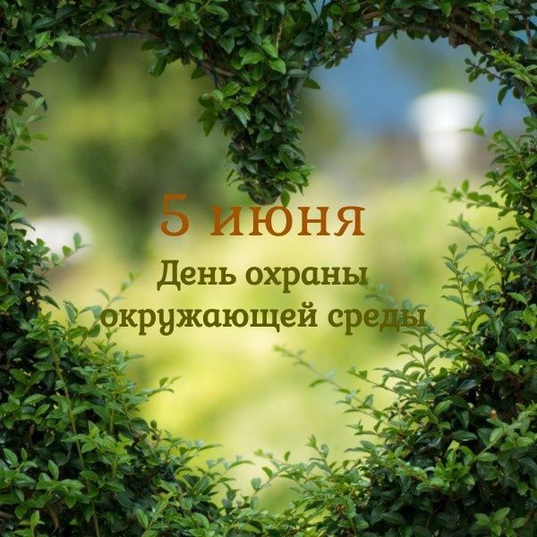 День охраны окружающей среды.