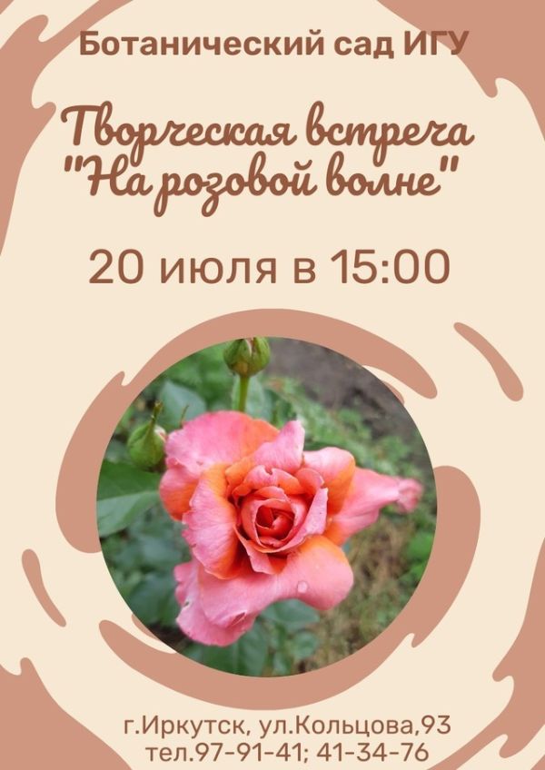 Творческая встреча "На розовой волне".