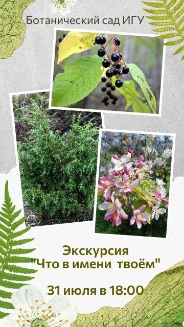 Открытие нового экскурсионного маршрута "Что в имени твоём" (12+).