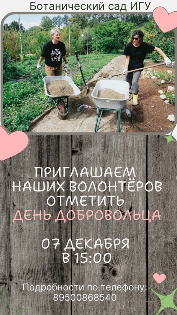 День добровольца (волонтёра)