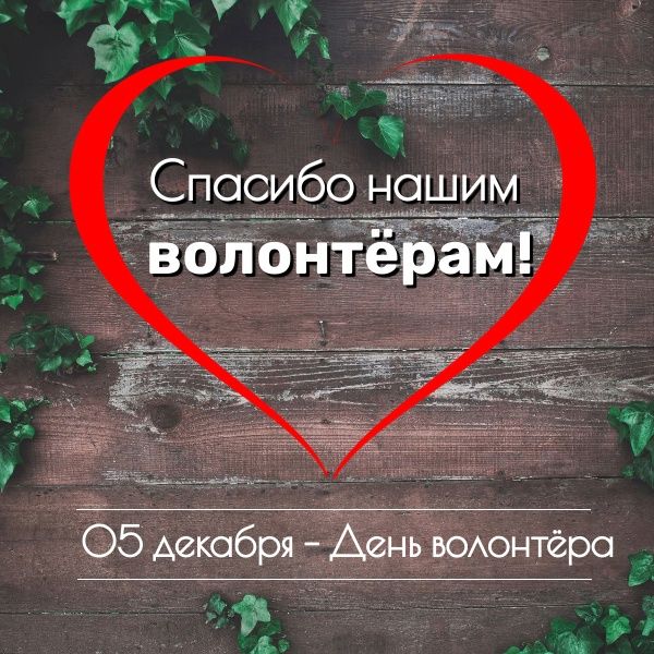 День волонтёра.