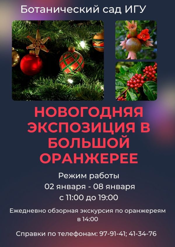 Новогодние каникулы