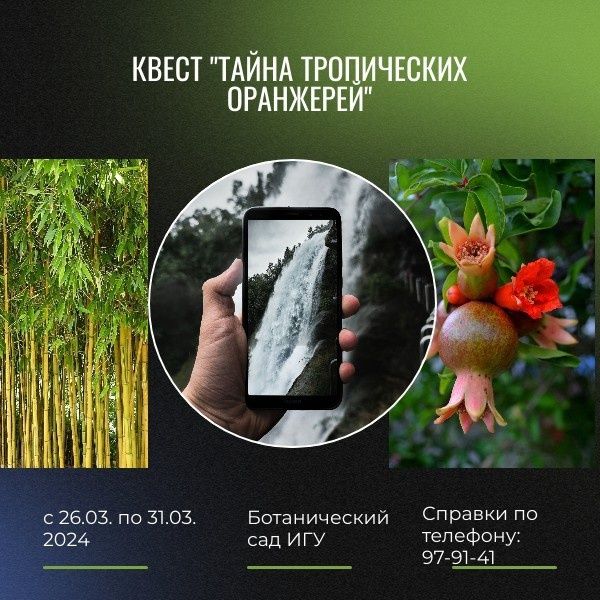Квест "Тайна тропических оранжерей"