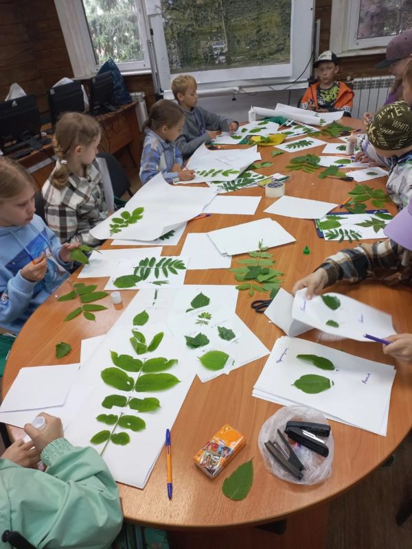 «Умные каникулы»
