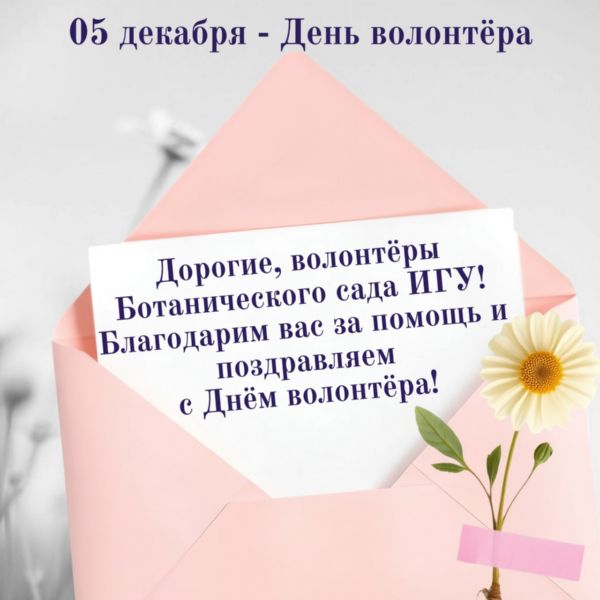 спасибо нашим волонтерам!