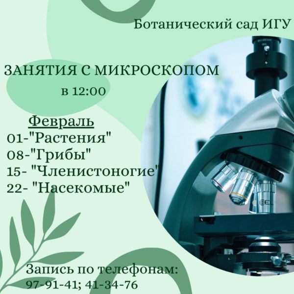 Микромир