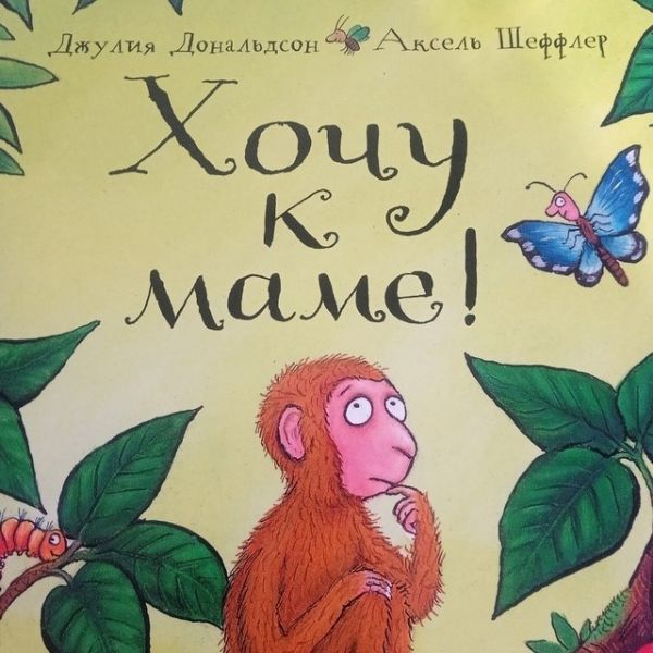 Лето круглый год