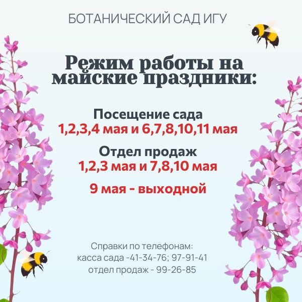 Майские праздники