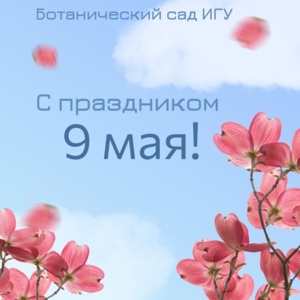 С Днём Победы!