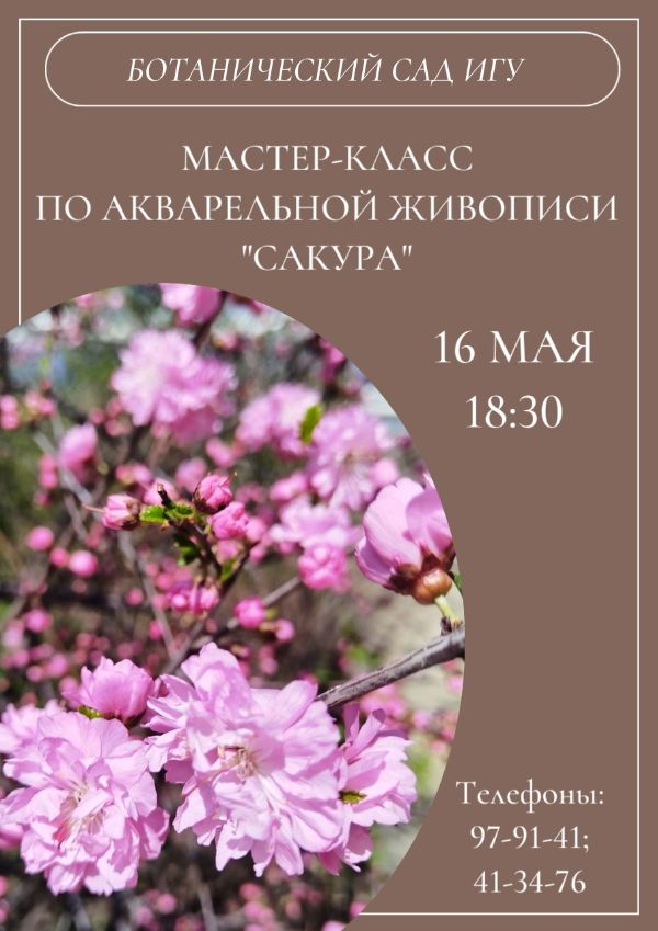 Дни любования сакурой в Ботаническом саду ИГУ.