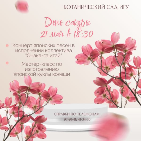 Сакура цветёт!