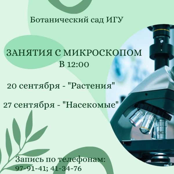 Микромир