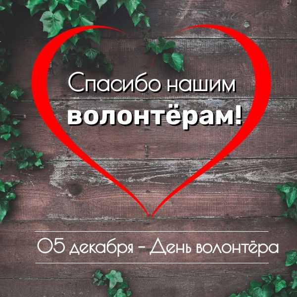 День добровольца (волонтёра)