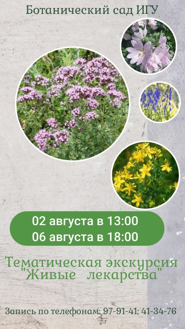 экскурсия "Живые лекарства"
