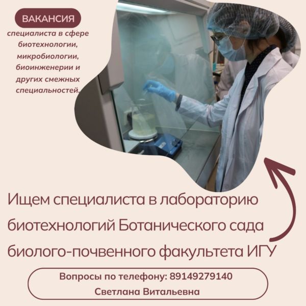 Ищем специалиста!