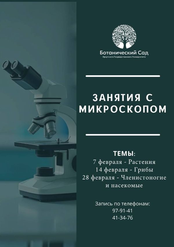 Микромир