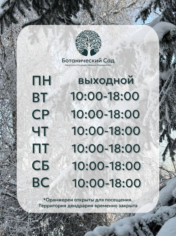 Финишная прямая этой зимы