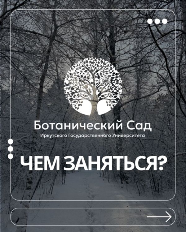 Чем заняться в Ботаническом саду