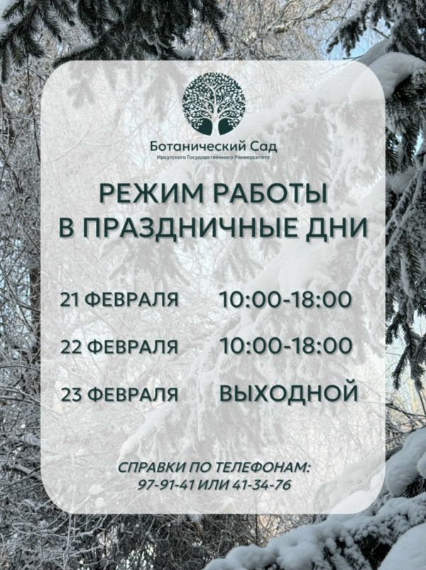 Расписание работы 21-23 февраля