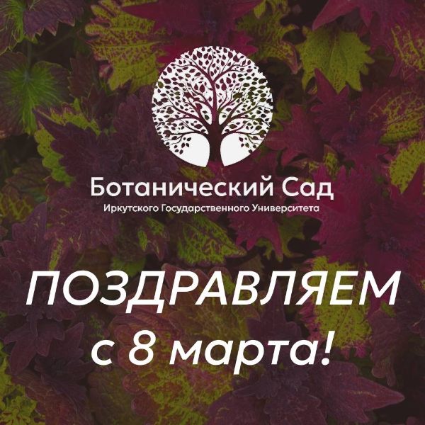 C 8 Марта