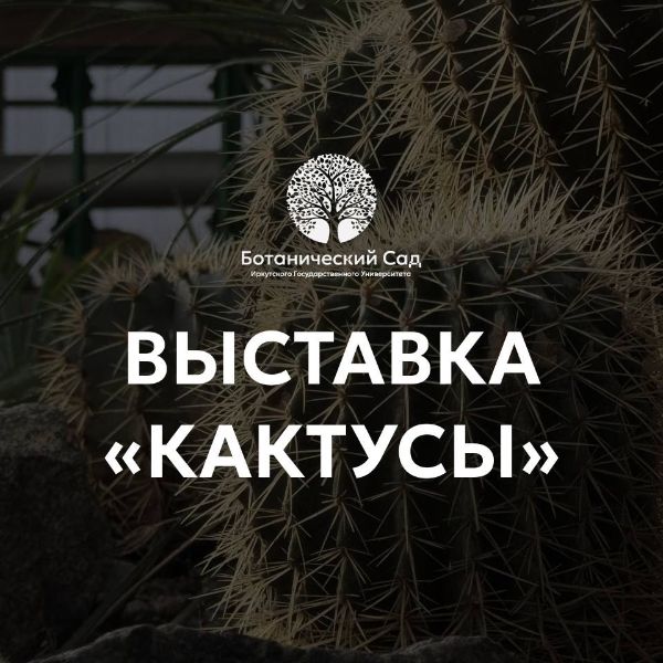 выставка вышивки «Кактусы»